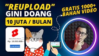 10 Juta/Bulan Dari 'Reupload' Video Kucing Yang Diperbolehkan ! Cara Menghasilkan Uang Dari Internet