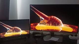 OLED vs IPS Monitor Comparison