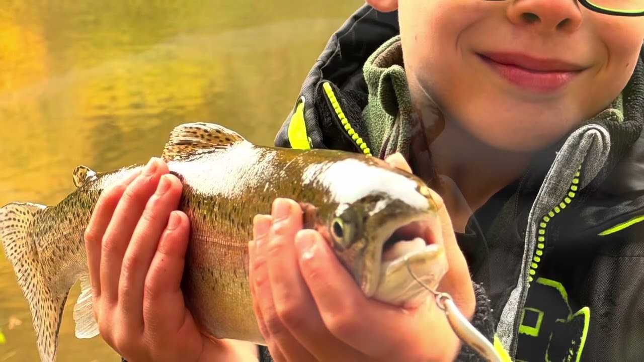 Forellenworkshop in Wadrill