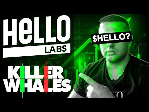Crypto going mainstream with HELLO LABS