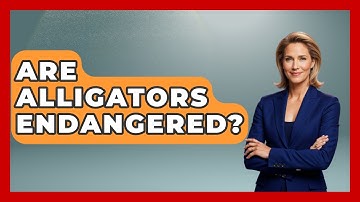 Are Alligators Endangered? - Exploring Campgrounds