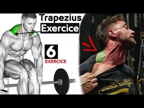 Video: Cara Mengepam Otot Trapezius