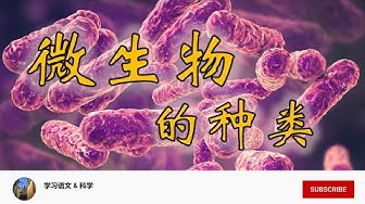 微生物 Youtube
