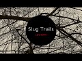 LEO IMAI - Slug Trails (Official Audio)