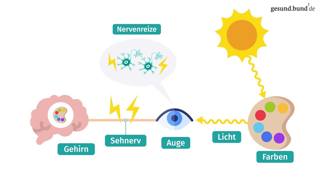 Wie funktioniert das Farbensehen und was ist Farbenblindheit