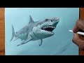 Drawing shark | t-arah