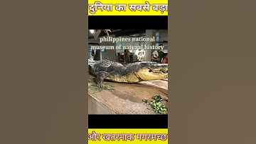 दुनिया का सबसे बड़ा और सबसे खतरनाक मगरमच्छ।world