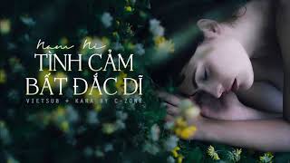 [Vietsub - Kara] Tình cảm bất đắc dĩ - Nam Ni | 情非得已 - 南妮