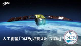 「つばめ」が捉えた「つばめ」