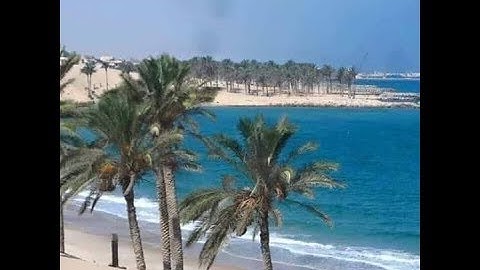 اجمل و اروع تلاوات القارئ هلويست نصر الدين بحة صوت رائعة HD