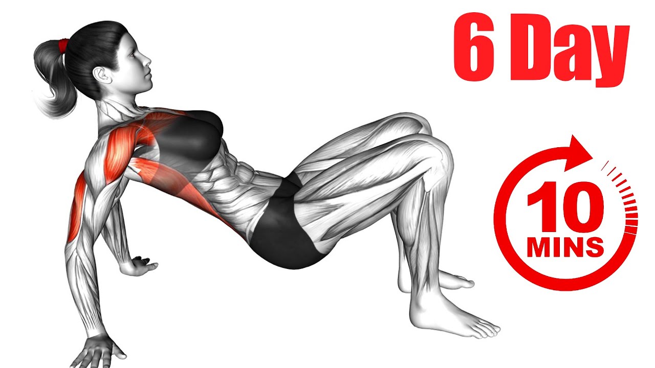 DAY 6 Chest / Workout at Home / Full week workout plan at home no