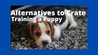 Information ***Alternatives to Crate Training a Puppy*** Guide
