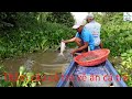 825 | Giăng câu cá tra về nhúng mắm cá trê | Fishing