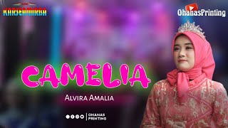 Kamelia || Alvira Amalia || New Karseamirba