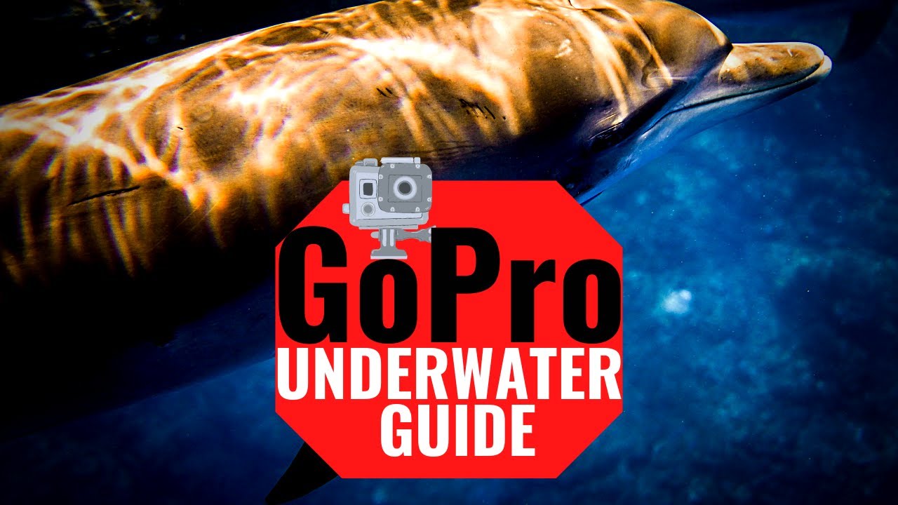 gopro hero 8 underwater settings