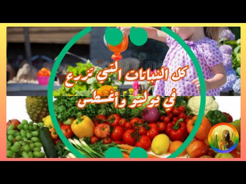 ماذا نزرع في شهر يوليو واغسطس 7 8 مزروعات تزرع فى يوليو وأغسطس