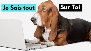 9 Secrets Que Ton Chien Sait Sur Toi 👉  Voici Ce Que Ton Chien Te Cache by Chien Info 462 views 4 weeks ago 6 minutes, 17 seconds