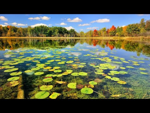 Janak Taal Beautiful Lake In Gwalior Mp Janak Taal Beautiful Lake In Gwalior Mp