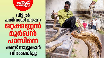 ഒറ്റക്കണ്ണൻ മൂർഖൻ പാമ്പ് ആള് ചില്ലറക്കാരനല്ല | Vava Suresh | Snakemaster 1139