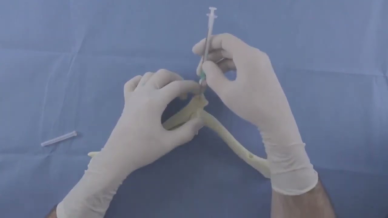 PRP Injection Technique for Veterinary Use | Elbow Joint Injection Demo | J1681