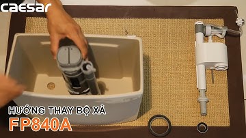CAESAR FP840A - Hướng dẫn lắp đặt và thay thế bổ xả bồn cầu 2 khối  - VUATHIETBI.COM