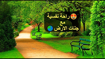 نصف ساعة كلها راحة ♥️✅ وايات تذهب بك الى عالم الهدوء والسكينة 😍 القارئ حمزة بوديب ✅مع الطبيعة