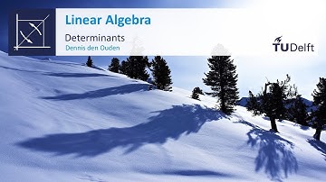 Determinants - Mathematics - Linear Algebra - TU Delft