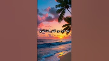 فناداها من تحتها ألا تحزني .القارئ احمد النفيس