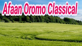 Beautiful Timeless Afaan Oromo Classical Music (Bareedaa Yeroo hundaa Afaan Oromoo Classical Musiqa)