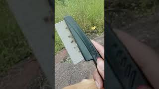 DOG TIKS AND FLEA REMOVAL BRUSH #shorts #dog #tiks #youtubeshorts #viral #trending #foryou