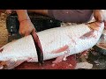 Amazing Cutting Skills | Giant Carp Fish Cleaning & Cutting By Expert Fish Cutter