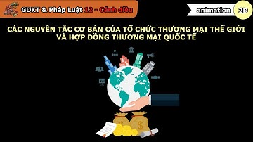 Các nguyên tắc cơ bản của Tổ chức Thương mại Thế giới và hợp đồng thương mại quốc tế -GDKT và PL 12