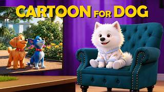 Best Cartoon for Dogs Home Alone 2026, in Color They Can See🐶Anti-Separation Anxiety TV for Dogs screenshot 2