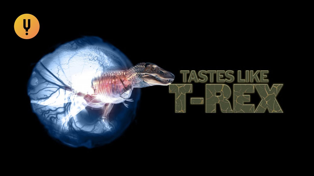 What Would a TRex Have Tasted Like? YouTube