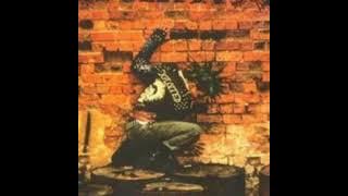 NO SURVIVORS - Punk Not Dead![1999]