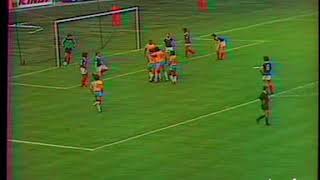 France - Brazil. Friendly match -1981 (1-3)