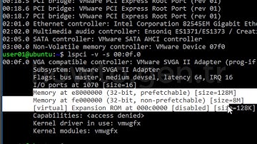 Linux Detect Video Display Card Details Using Lspci/Lshw Command Line