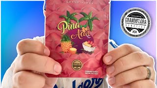 Grandiflora *Pina Acai* Strain Review!!!