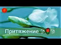 Насколько сильно ОН к Вам привязан?💯🍒Кто Вы в его жизни?💝 Его чувства, его планы.