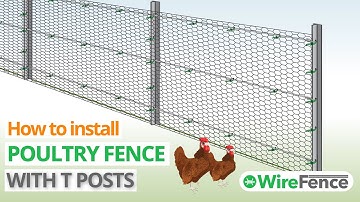 Poultry Fencing Installation with T posts and Chicken Wire | WireFence