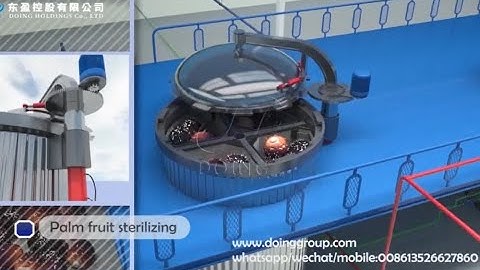 Palm fruit sterilizer machine for small palm oil mill, palm fruit sterilizing process 3D animation