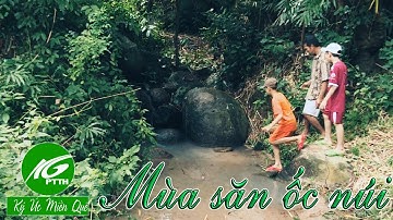 Ký ức miền quê l Mùa săn ốc núi l THKG