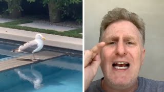 Get This Bird Out Of My Pool Part I Michael Rapaport