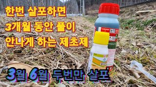 한번 살포하면 3개월동안 풀이 안나는 제초제