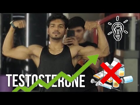 Increase Testosterone levels