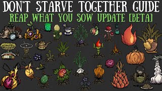 The NEW, Reap What You Sow Update  Farming Overhaul!  Don't Starve Together Guide [NEW CONTENT]