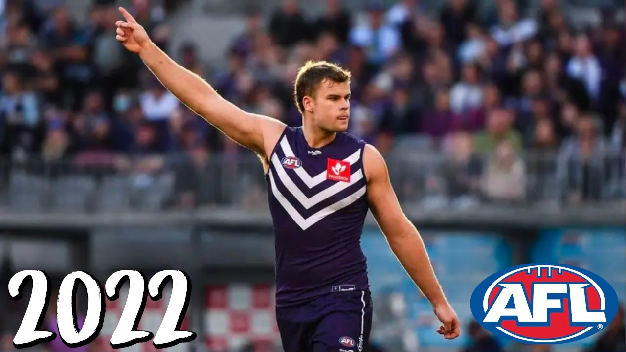 Sean Darcy 2022 AFL Highlights