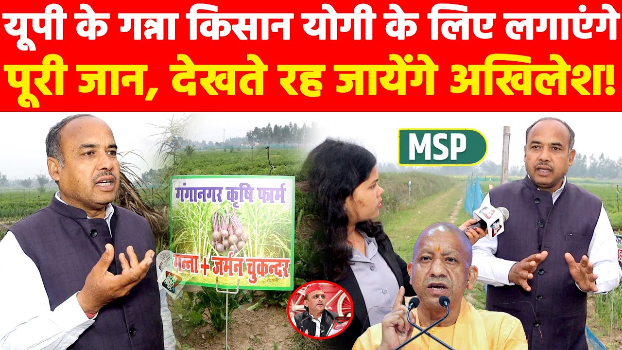 यूपी के गन्ना किसान योगी के लिए लगाएंगे पूरी जान, देखते रह जायेंगे अखिलेश! Khabar India