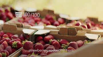 IoT Sensors Farm to Fork Video 90 Sec EN