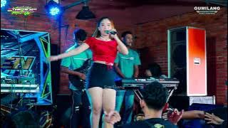 THE VICH MUSIC - CARE BEBEK - VEGA AGUSTIN - HAPPY PARTY DEADEN NOLOMIT PEMUDA BANDENGAN